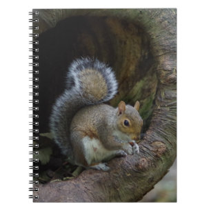 Carnet Ordinateur portable d'écureuil