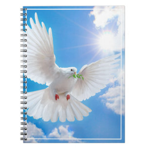 Carnet Ordinateur portable Dove