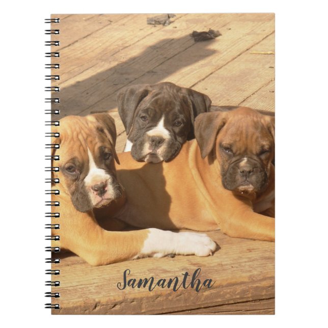 Carnet Ordinateur portable en spirale pour chiots de boxe (Devant)
