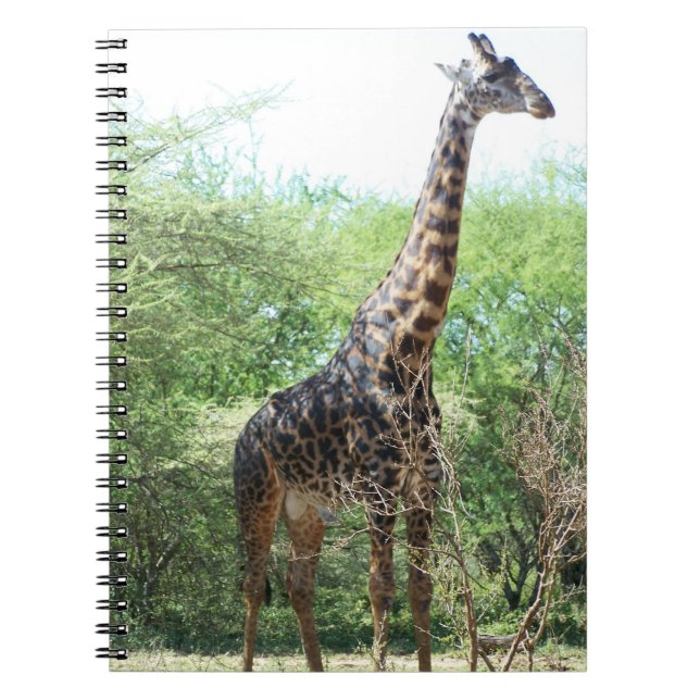 Carnet Ordinateur portable Giraffe (Devant)