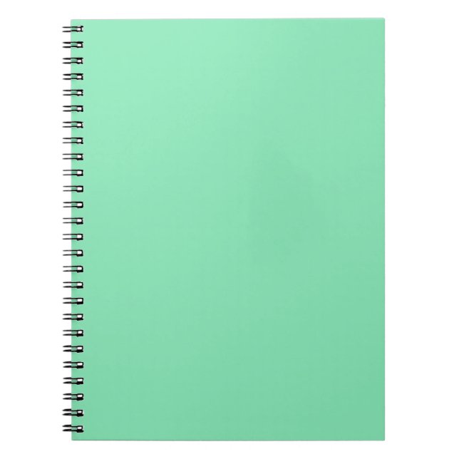 Carnet Ordinateur portable Pastel Mint Green (Devant)