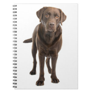 Carnet Ordinateur portable pour marionnettes pour les dé