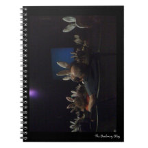 Ordinateur portable Rabbit Cinema