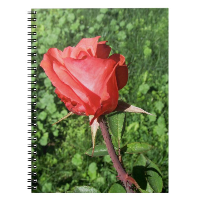 Carnet Ordinateur portable Rose (Devant)