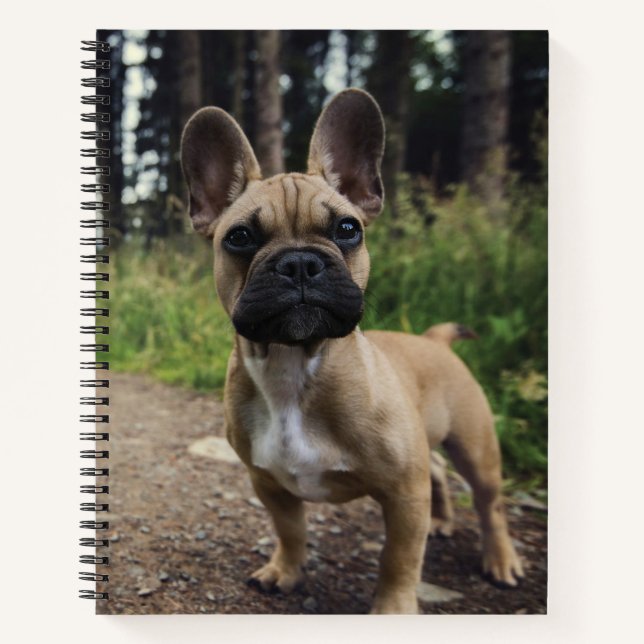 Carnet Oreiller à lancer de chien de taureau français (Devant)