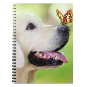 Carnet Oreiller À Lancer Du Labrador Et Du Papillon