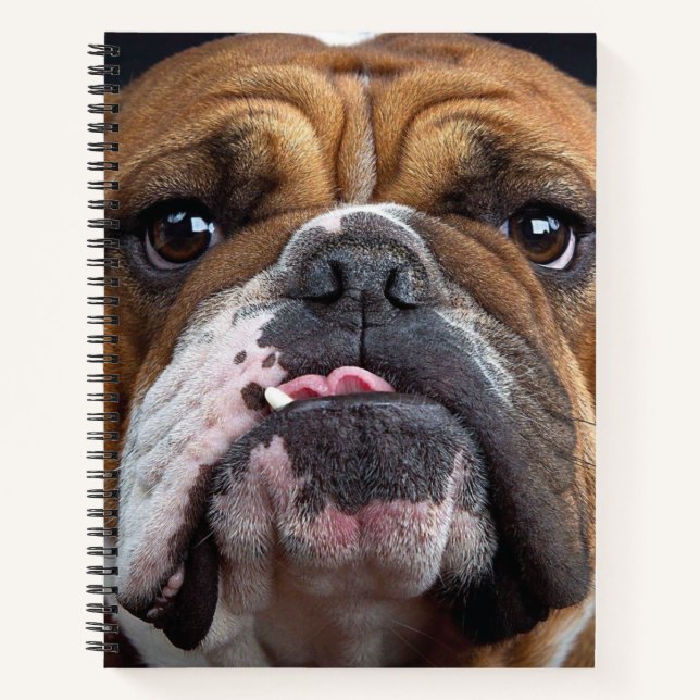 Carnet Oreillers à lancer de Bulldog anglais (Devant)