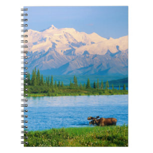 Carnet Orignal mâle dans le Wonder Lake