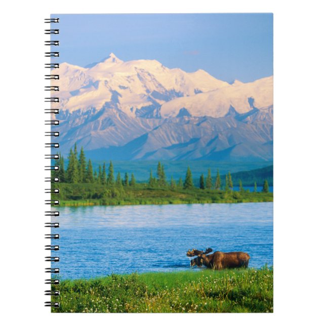 Carnet Orignal mâle dans le Wonder Lake (Devant)