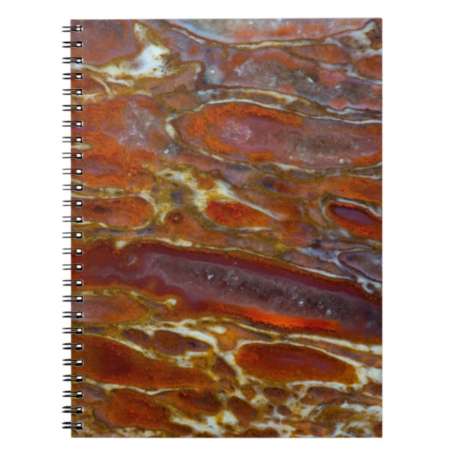 Carnet Os de dinosaure pétrifié (Devant)