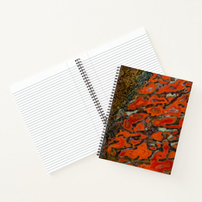 Carnet Os de dinosaure pétrifié rouge (Intérieur)