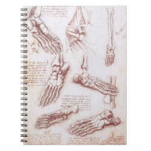 Carnet Os des du pied selon l'anatomie humaine de Léonard