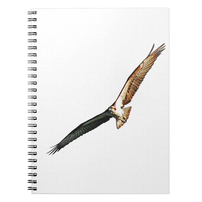 Carnet Osprey Flying (Devant)