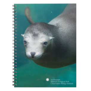 Carnet Otarie de Smithsonien  