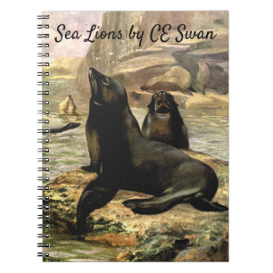 Carnet Otaries de Californie par CE Swan, Animaux Vintage