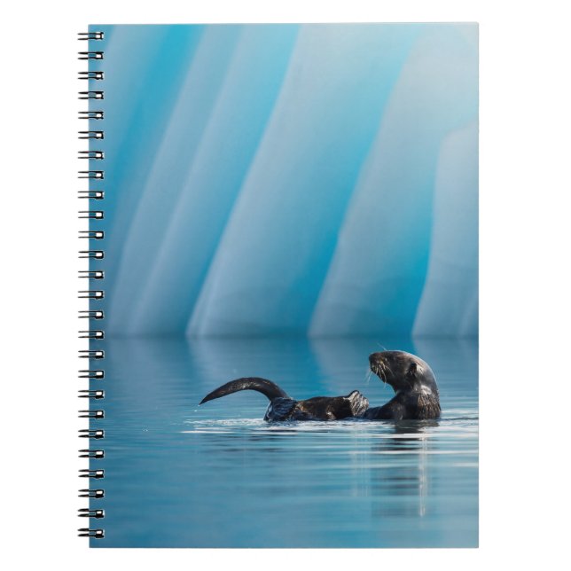 Carnet Otter de mer joueuse (Devant)