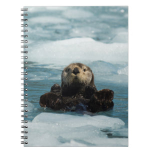 Carnet Otter flottante
