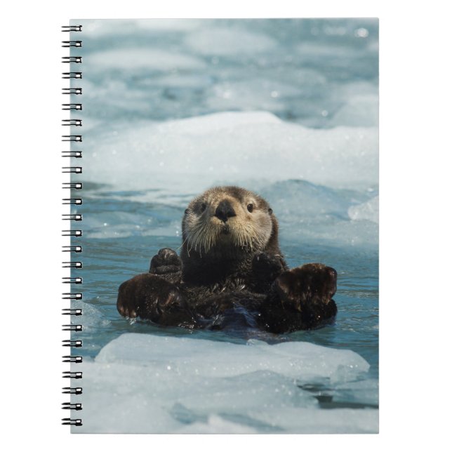 Carnet Otter flottante (Devant)
