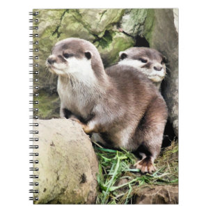 CARNET OTTERS