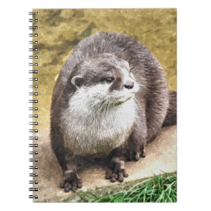 CARNET OTTERS