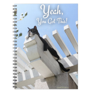 Carnet Oui Vous Avez Une Déclaration De Photo De Chat Mot