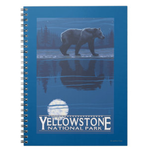 Carnet Ours au clair de lune - Parc national de Yellowsto