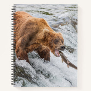 Carnet Ours brun attrape un saumon rouge