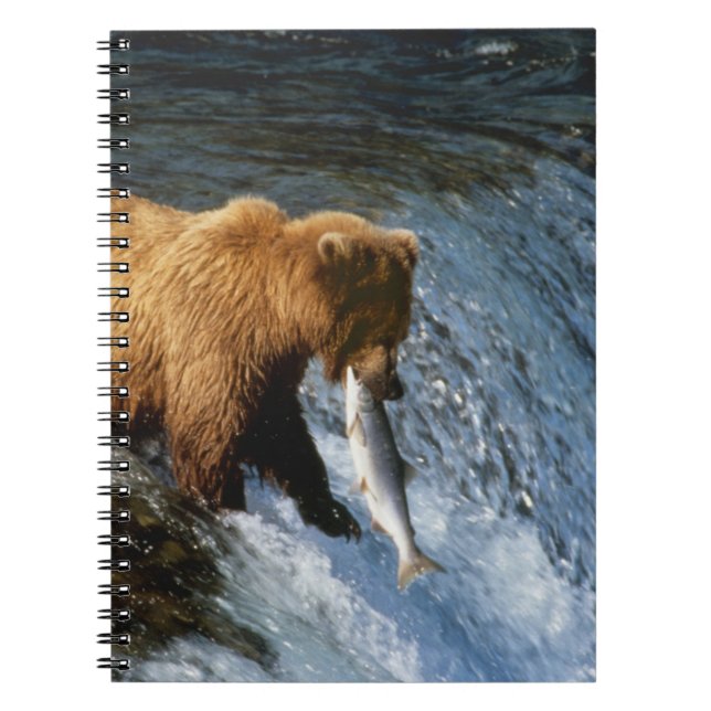 Carnet Ours brun d'Alaska attrapant du saumon à Brooks (Devant)