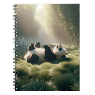 Carnet Ours De Panda Sous Le Soleil