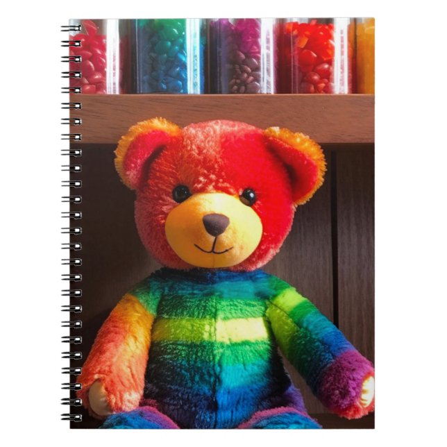 Carnet Ours en peluche arc-en-ciel radieux (Devant)