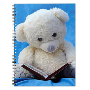 Carnet Ours en peluche mignon
