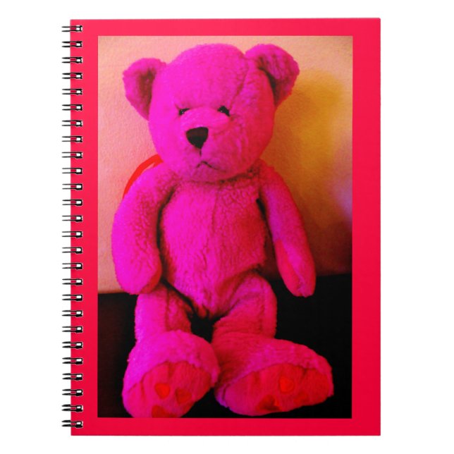 Carnet Ours en peluche rose (Devant)