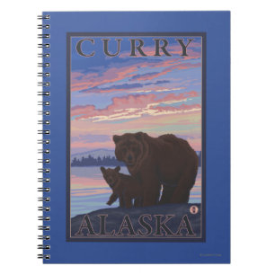 Carnet Ours et cub - Curry, Alaska