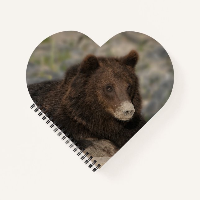 Carnet Ours Grizzli Avec Canvas De Nez Sable Imprimer (Devant)