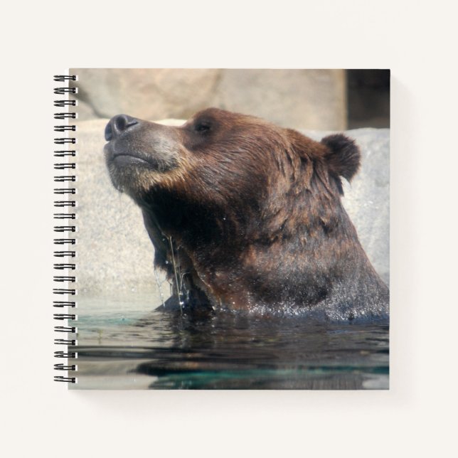 Carnet Ours grizzli mignon dans l'eau (Devant)
