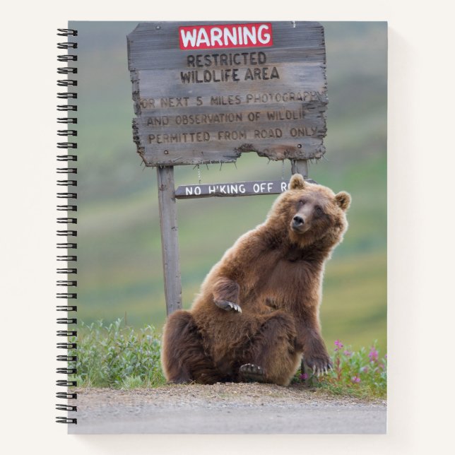 Carnet Ours Grizzly Joue Avec Un Panneau (Devant)