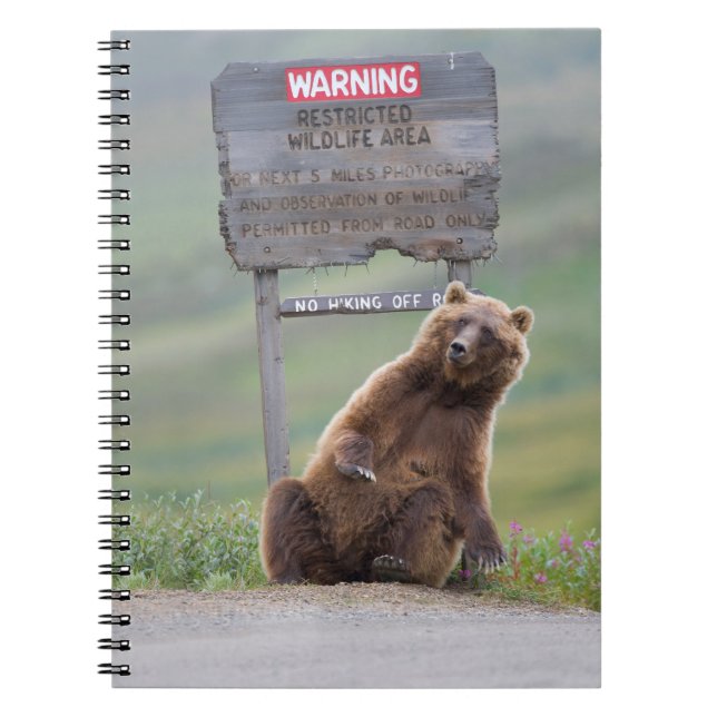 Carnet Ours Grizzly Joue Avec Un Panneau (Devant)