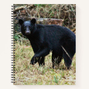 Carnet Ours noir de Floride