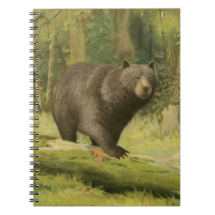 Carnet Ours noir faisant un pas sur un tronc d'arbre