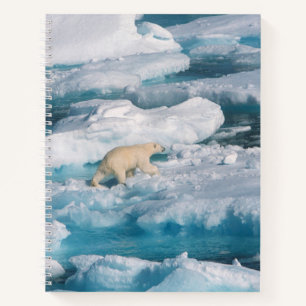 Carnet Ours polaire marchant sur la mer