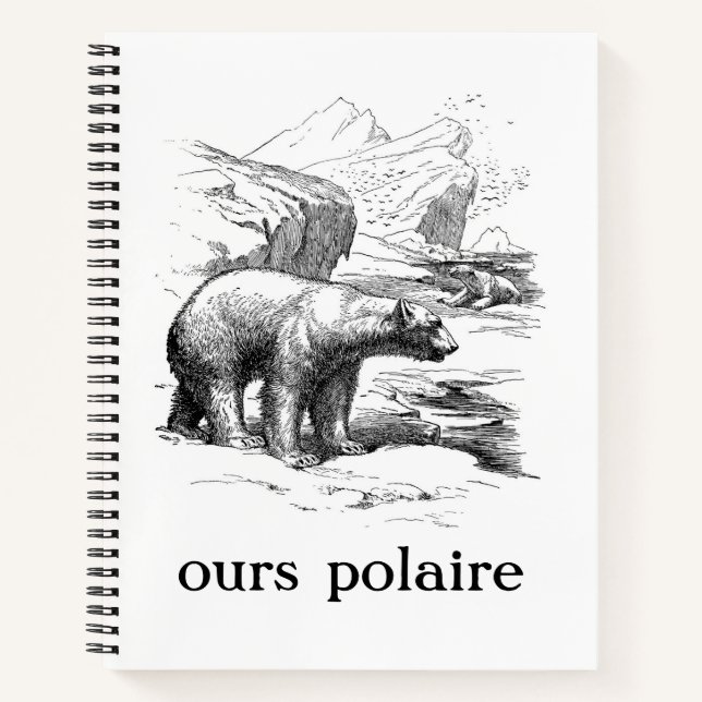 Carnet Ours Polaire Ours Polaire (Devant)