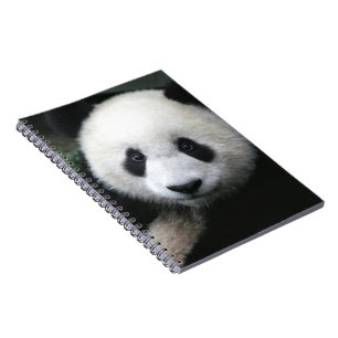 Carnet Ours souriant Panda