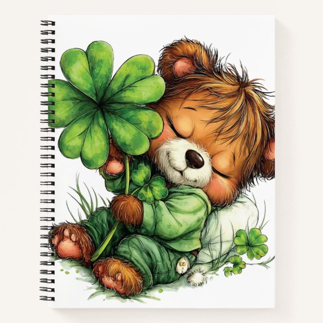 CARNET OURSON EN PELUCHE À THÈME IRLANDAIS ADORABLE (Devant)