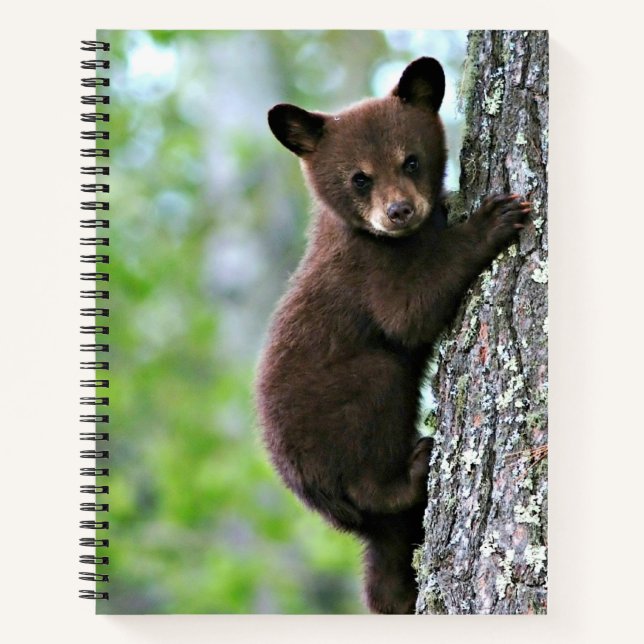 Carnet Ourson grimpant à un arbre, (Devant)