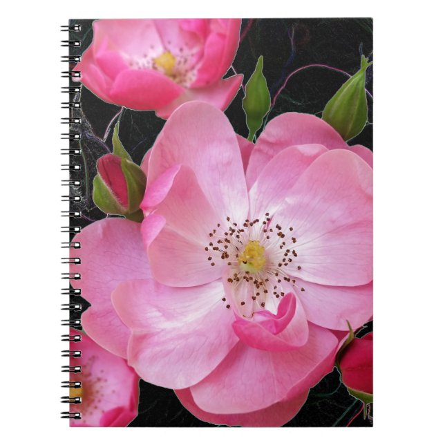 Carnet ouverture de minuscule rosebud (Devant)