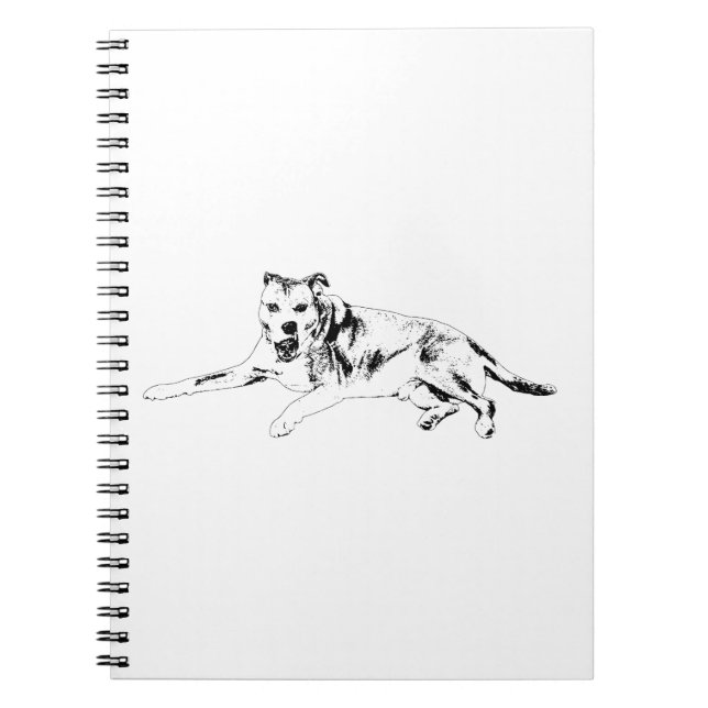 Carnet Ouverture d'esprit, écriture facile (Devant)