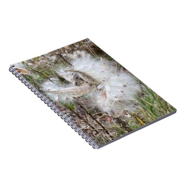 Carnet Ouvrir les pots d'algues | Graines avec soie | Spi (Côté Droit)