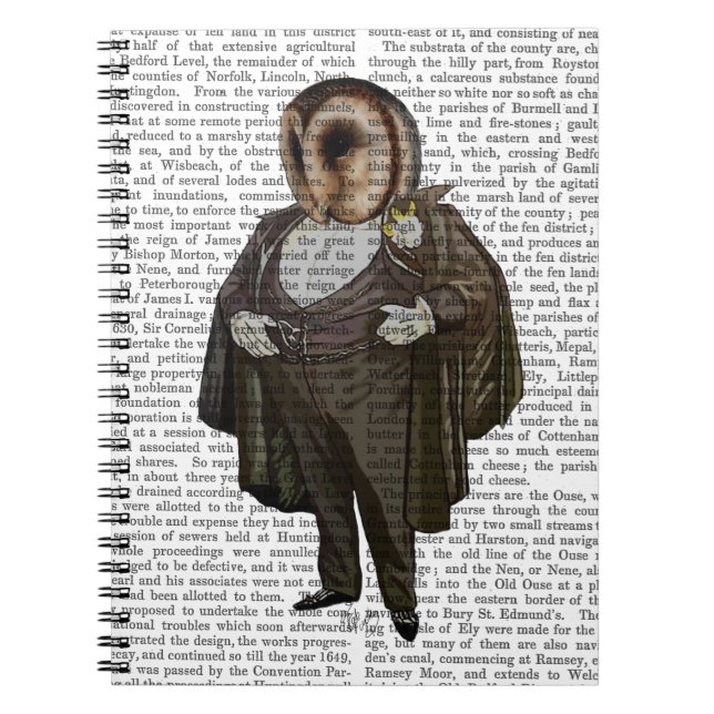 Carnet Owl à l'opéra (Devant)