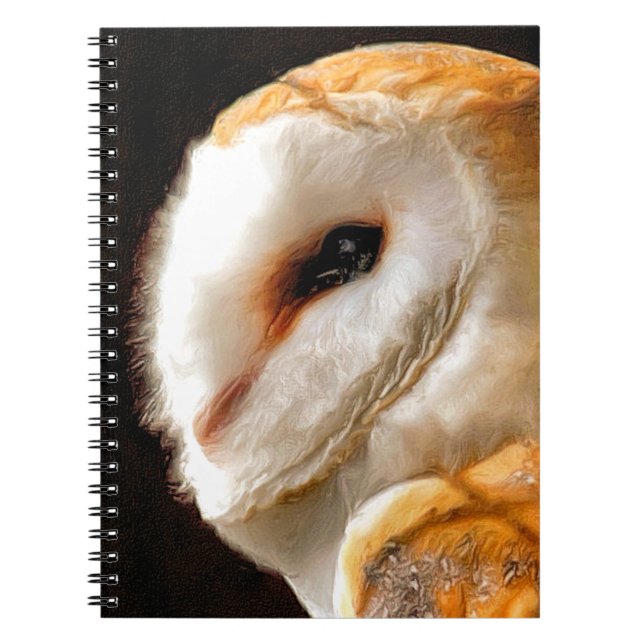 CARNET OWLS (Devant)