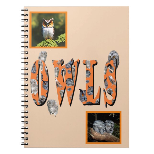 Carnet Owls Est Le Nom, (Devant)